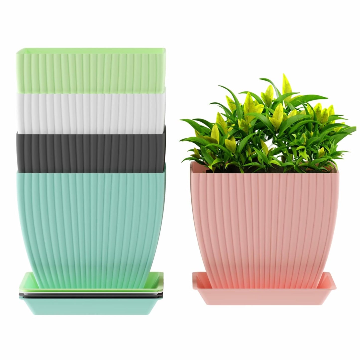 Pots for Home Planters