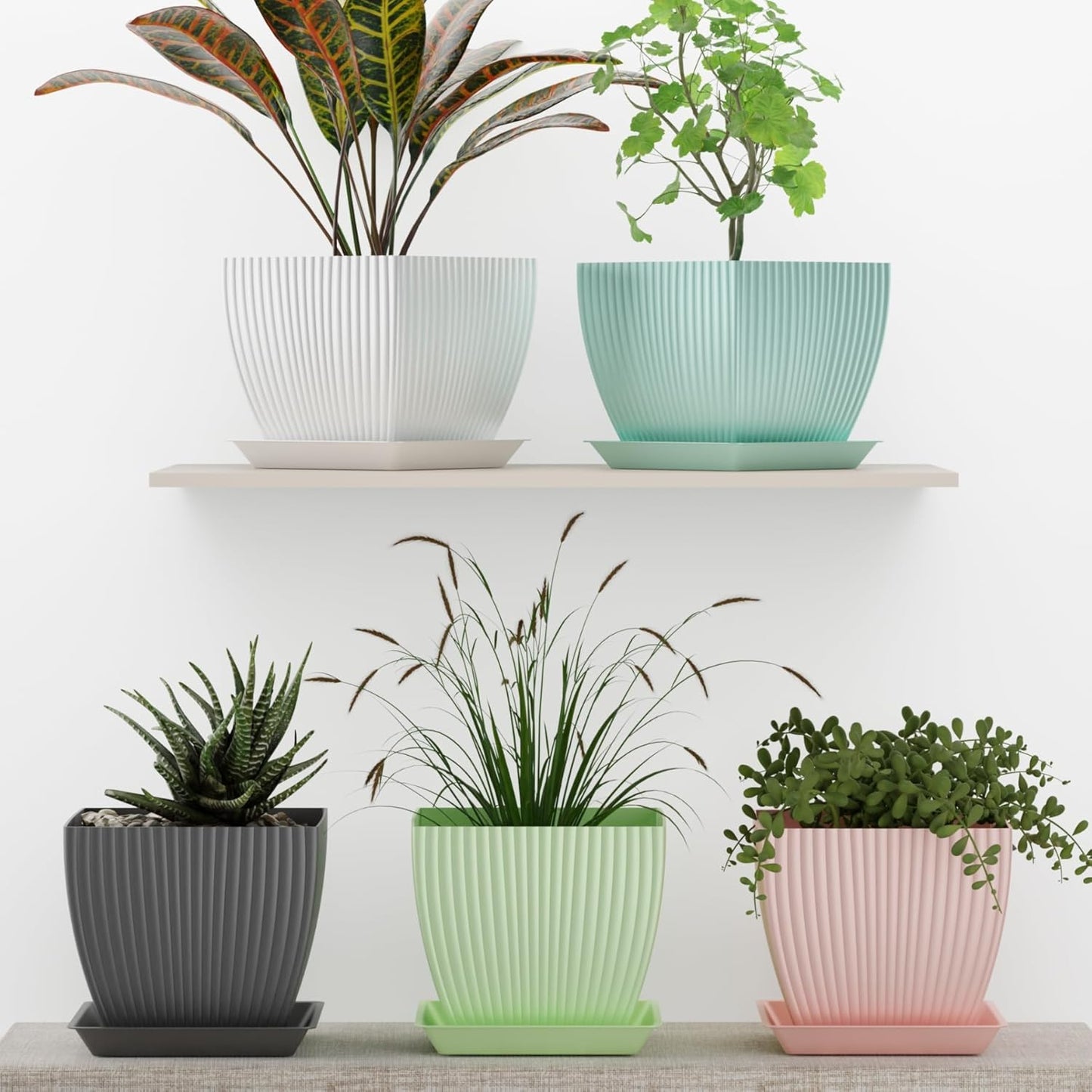 Pots for Home Planters