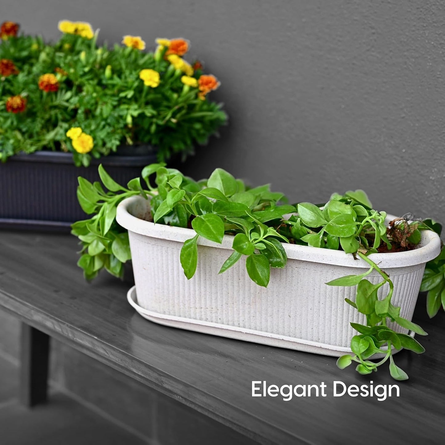Window Flower Pots