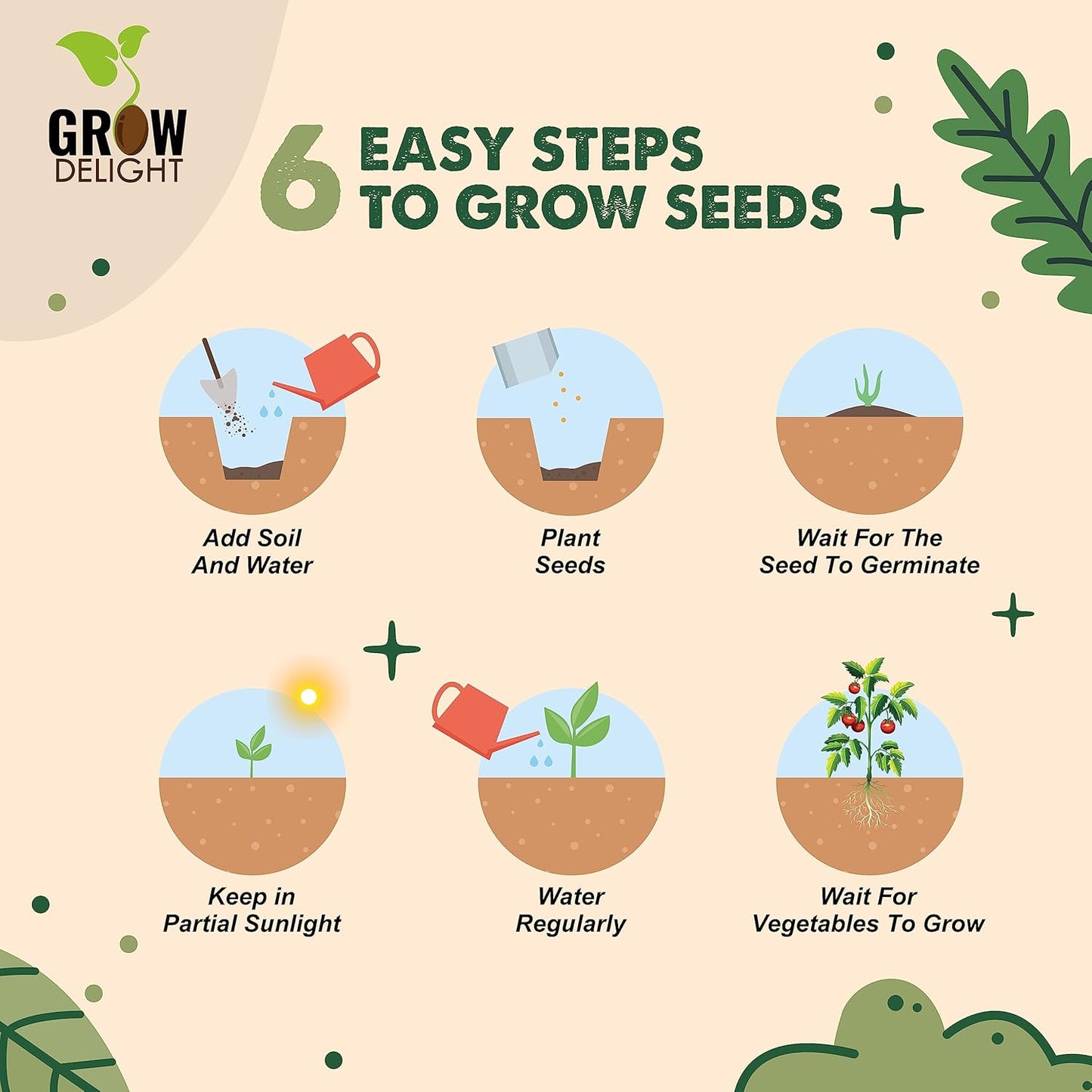 Vegetable Seeds