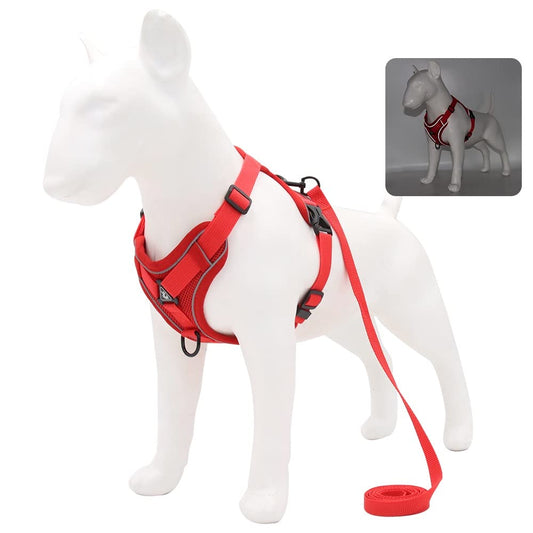 BLACKDOG Harness with Leash for Small Dog
