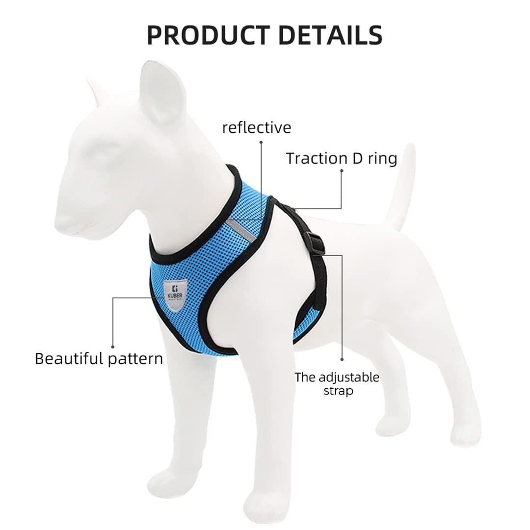 Small Dog/Cat Chest Harness with Nylon Leash