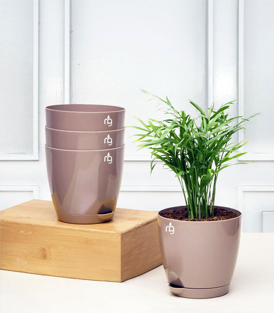 Mocha Self Watering Pot