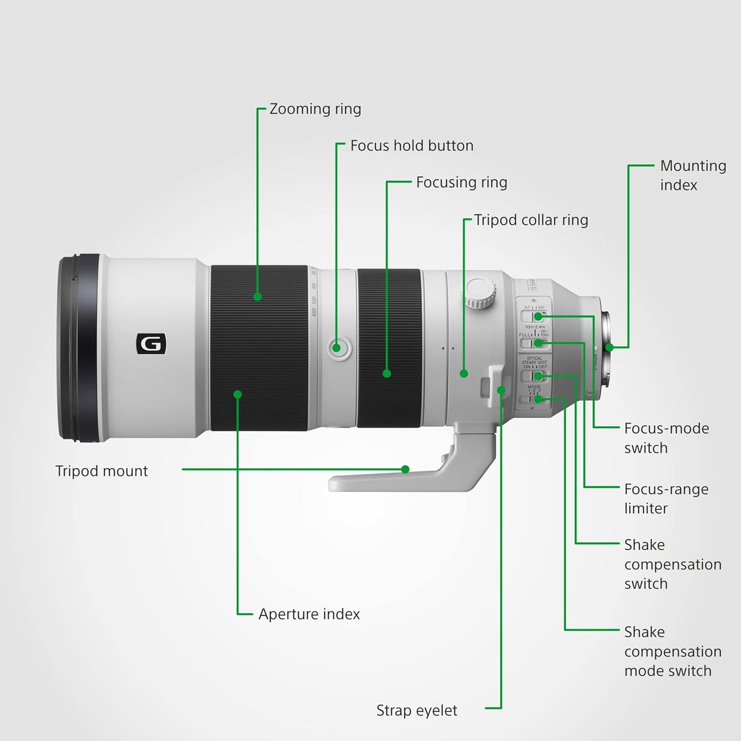 Sony E Mount Fe 200 600Mm F5.6 6.3 G OSS Full-Frame Lens (Sel200600G) | Super-Telephoto Zoom | for Wildlife Photography, White