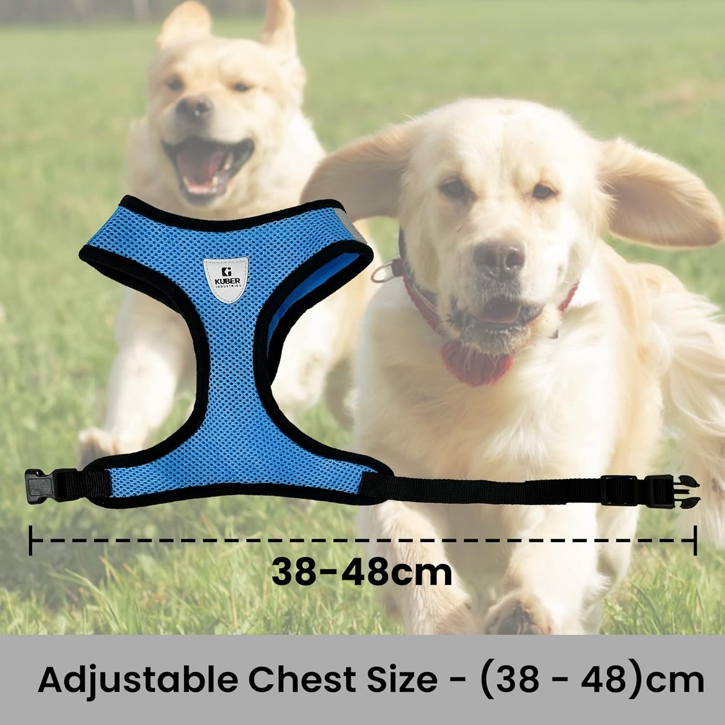 Small Dog/Cat Chest Harness with Nylon Leash